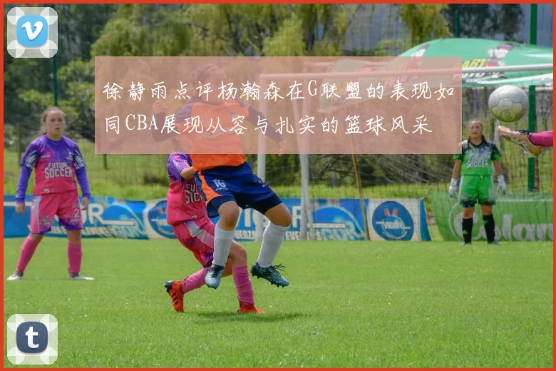徐静雨点评杨瀚森在G联盟的表现如同CBA展现从容与扎实的篮球风采